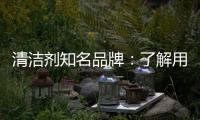 清洁剂知名品牌
：了解用户需求 注重市场反馈