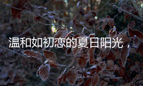 当然少不了温和可期的阳光房