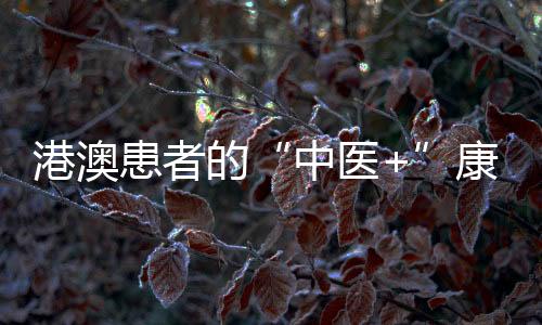 港澳”中医经典科主任陈朝说