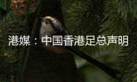 港媒：中国香港足总声明陈晋一已返回申花；无其他球员被召回