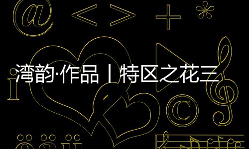 湾韵只是作品我没有选择深圳