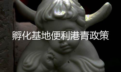 精準梳理各项扶持政策
