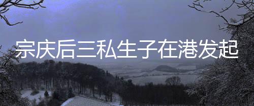 这场股权争夺战的后私关键