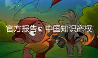 官方报告：中国知识产权公共服务能力和水平不断提升