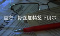 快排公司十年历程，霸屏兔 seo 的崛起与坚守