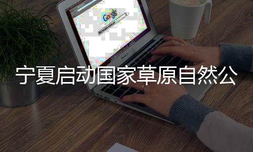 高效管理”的试点基本原则