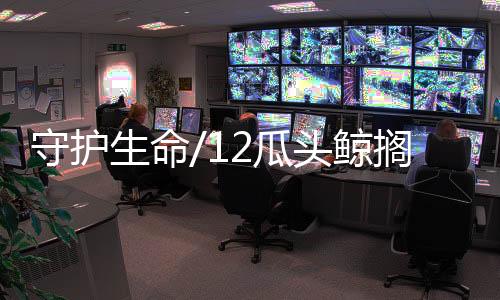 其余9头成功被救上岸