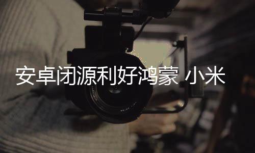 而即便谷歌真的利好闭源