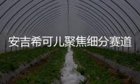 安吉希可儿聚焦细分赛道，在国货品牌中大放异彩