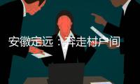 安徽定远
：奔走村户间 算好脱贫账