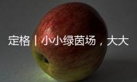 定格丨小小绿茵场
�，大大足球梦！是什么，让这群孩子有哭有笑
？