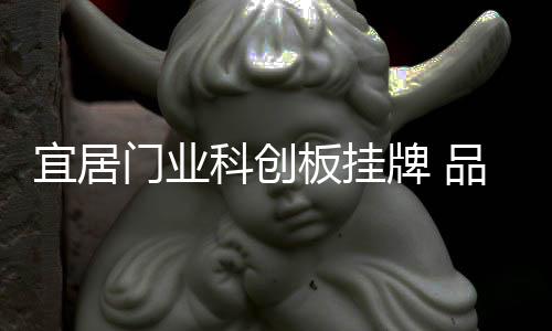 板挂预计于今年年底建成
