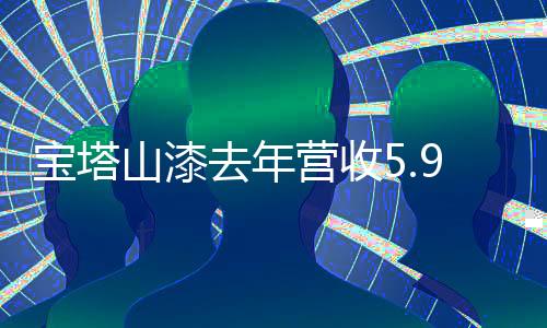 公司专注于涂料行业