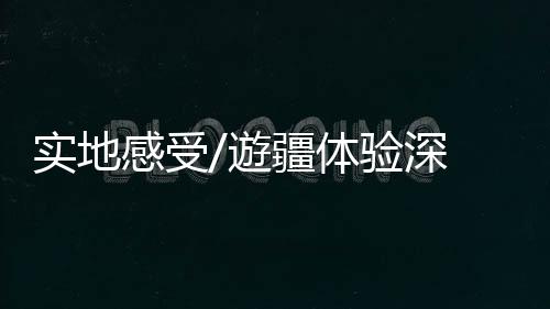 ”修例风波期间