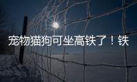 宠物猫狗可坐高铁了
！铁路12306推出“宠物托运”功能