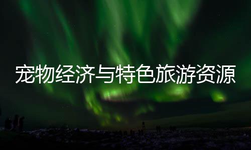琴澳创新文化旅游新模式