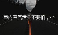 室内空气污染不要怕，小海鸥贝壳粉还你清新空气!