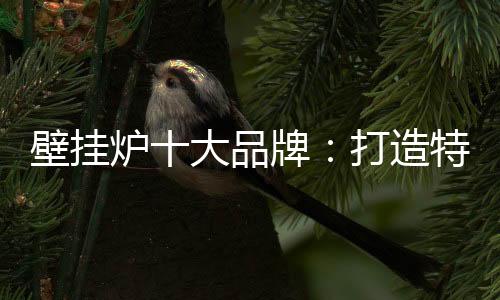 产品定位和渠道定位
