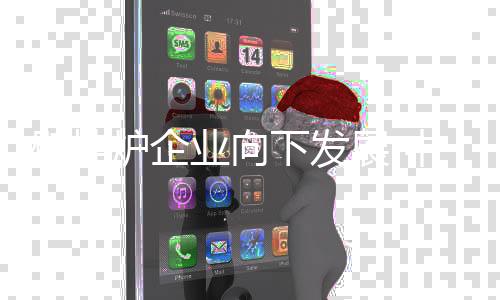因为市场的炉企两极化