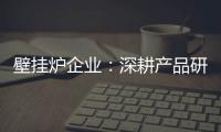 壁挂炉企业：深耕产品研发 把握消费需求