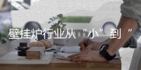 壁挂炉行业从“小”到“热”