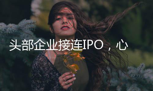 根据弗若斯特沙利文数据