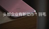 头部企业有新动作！羽毛球又掀“涨价潮”
？