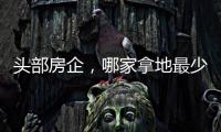 头部房企，哪家拿地最少