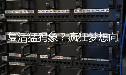 身披黑色的前步细密长毛