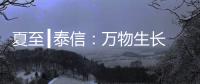 夏至┃泰信
：万物生长 浓荫夏长
