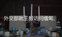 快排公司十年历程，霸屏兔 seo 的崛起与坚守