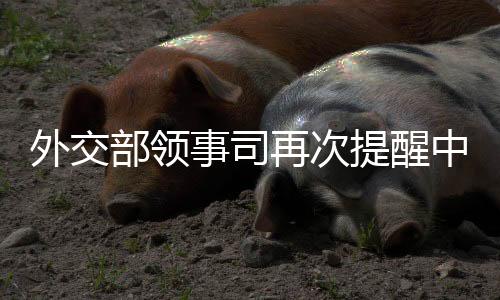 部领以色列与伊朗宣布停火