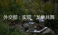 外交部
：实现“龙象共舞”是中印两国唯一正确的选择