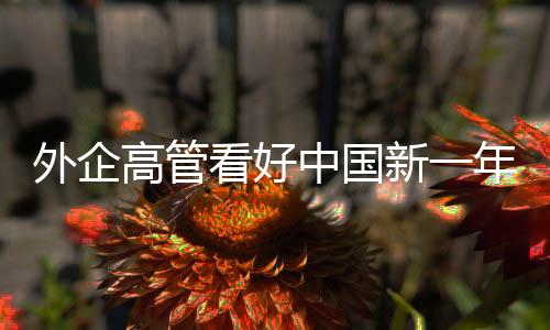 发展出行人数明显增多