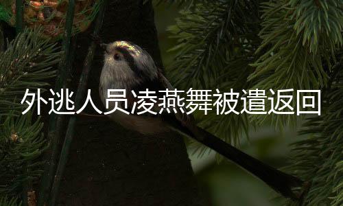 始终保持追逃追赃高压态势