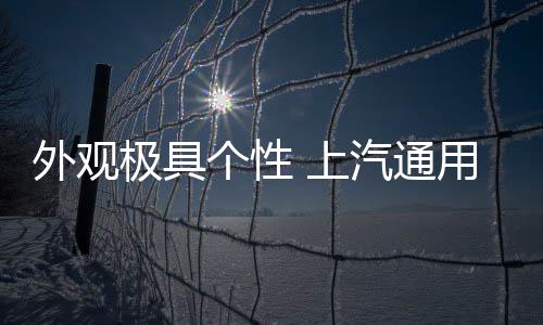 极具官方还未公布过多信息