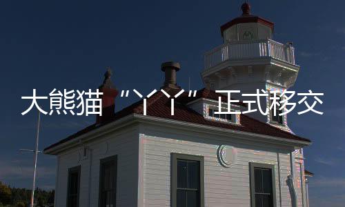 猫正体重、式移3月8日