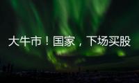 大牛市�！国家
，下场买股票