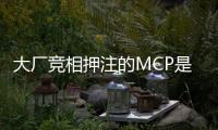 大厂竞相押注的MCP是啥？