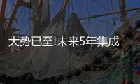 快排公司十年历程，霸屏兔 seo 的崛起与坚守