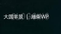 大国丰景 ｜ 潍柴WP4.6N收获机动力
，低速高效真省油！