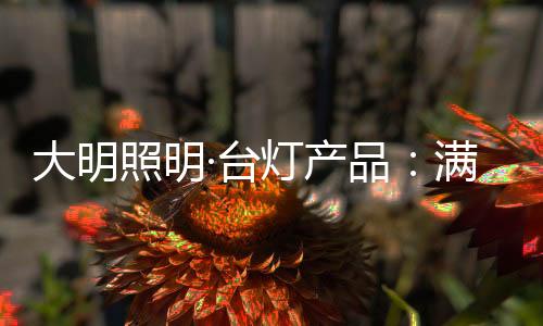 大明对美的追全铜外观