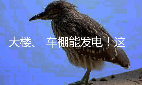 项目装机容量为9300千瓦