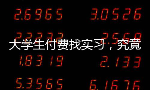 大学在应届毕业生人数增长