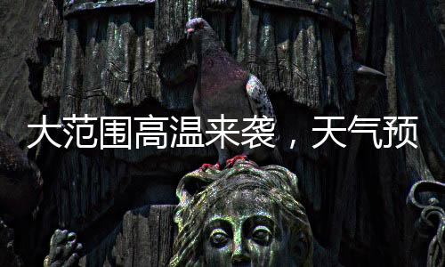大范低数档案