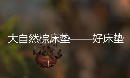小棕将健壮带给大家