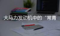 大马力发动机中的“常青树”
�，动力强者的硬核人生