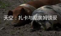 天空
：扎卡与尼奥姆谈妥1000万欧年薪，费内巴切仍在劝说球员加盟