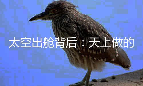 景海鹏和陈冬穿上束缚装置