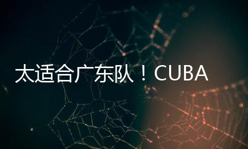 休赛期并没有补强外援的消息